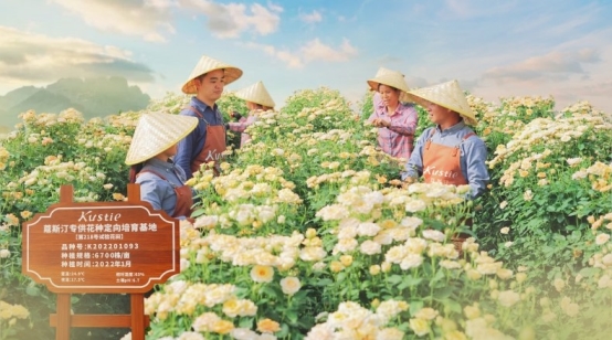 蔻斯汀花瓣沐浴露连续三年全球销量第一不朽情缘游戏网站登录市场地位证明：