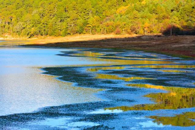 么好但不会像你想象得那么糟既然选择了无论好的还是糟的请坚持下去!不朽情缘登录入口我的365天创业日记—创业永远不可能像你想象得那(图11) 么好但不会像你想象得那么糟既然选择了无论好的还是糟的请坚持下去!不朽情缘登录入口我的365天创业日记—创业永远不可能像你想象得那(图11)
