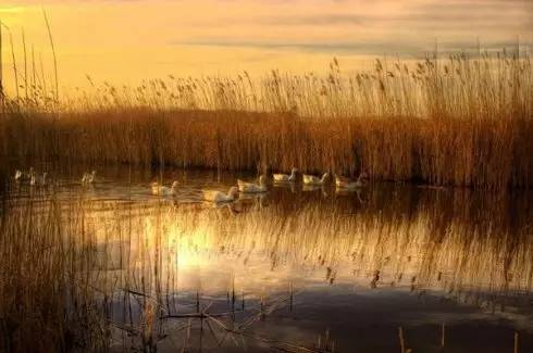 么好但不会像你想象得那么糟既然选择了无论好的还是糟的请坚持下去!不朽情缘登录入口我的365天创业日记—创业永远不可能像你想象得那(图15) 么好但不会像你想象得那么糟既然选择了无论好的还是糟的请坚持下去!不朽情缘登录入口我的365天创业日记—创业永远不可能像你想象得那(图15)