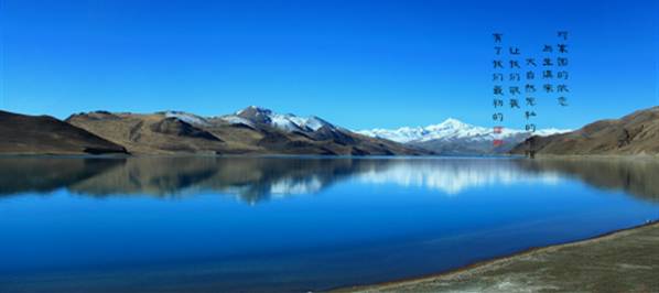 么好但不会像你想象得那么糟既然选择了无论好的还是糟的请坚持下去!不朽情缘登录入口我的365天创业日记—创业永远不可能像你想象得那(图16) 么好但不会像你想象得那么糟既然选择了无论好的还是糟的请坚持下去!不朽情缘登录入口我的365天创业日记—创业永远不可能像你想象得那(图16)