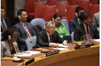 促：立即停止军事进攻！否则不朽情缘平台推